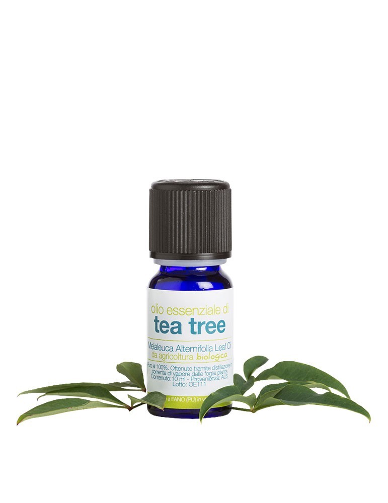 olio essenziale tea tree bio - La Saponaria -10ml - Ex-Aequo