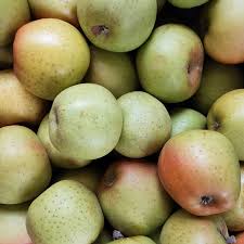 CASSETTINA 4KG circa MELE RENETTE Trentino BIO - €3,30/kg