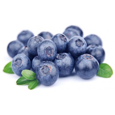 MIRTILLI DI MONTAGNA Trentino BIO - vaschetta 150gr