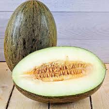 MELONE VERDE PIEL DE SAPO Italia (Sardegna) - confezione 1 pz (circa 1kg)