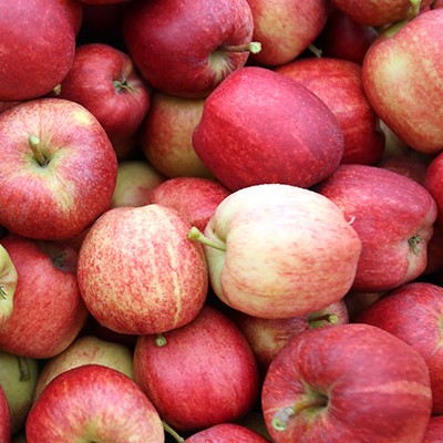 CASSETTINA 4KG circa MELE GALA Trentino BIO - €3,50/kg