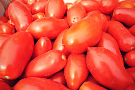 CASSETTA DA 10KG circa POMODORO DA SUGO Lombardia BIO - €1.90/kg