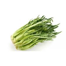CICORIA PUNTARELLE Italia (Puglia) cat.2 - confezione da 1kg circa