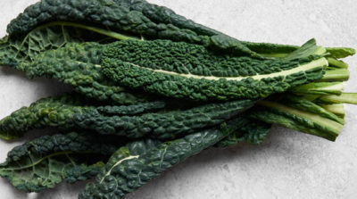 CAVOLO NERO Veneto BIO - confezione da 500gr - €5,50/kg
