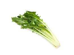 CICORIA CATALOGNA Veneto BIO - confezione da 1kg circa