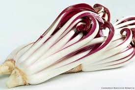 RADICCHIO ROSSO TARDIVO Italia (Veneto) cat.2 - confezione 500gr - € 11.00/kg