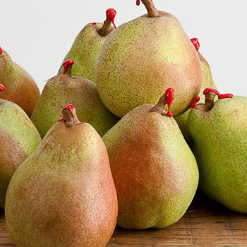 CASSETTINA 4KG circa PERE DECANA Emilia Romagna - €4,90/kg