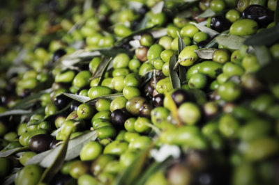 Olio nuovo - CHIUSURA PRENOTAZIONI 04/02