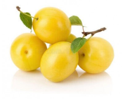 SUSINE GIALLE al 50+ Italia (Sicilia) - confezione 1kg circa
