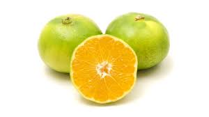 MANDARINO SATSUMA Puglia BIO - confezione 1kg circa