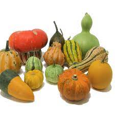 ZUCCHE ORNAMENTALI Italia (Veneto)- CONFEZIONE 1kg