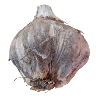 AGLIO ELEFANTE - confezione da 200gr circa - €14.00/kg