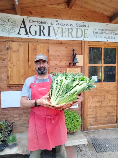 CICORIA (DI AGRIVERDE) - confezione da 1kg circa