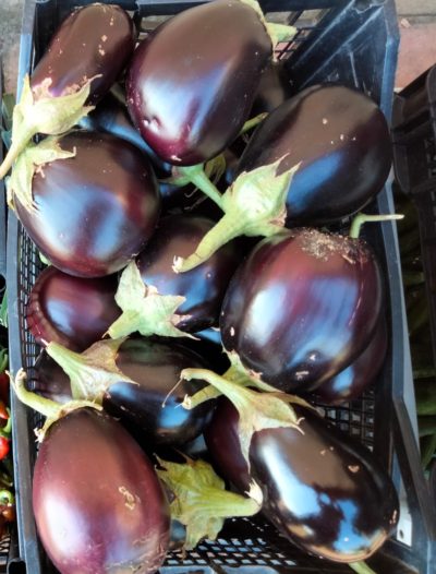 MELANZANA (DI SILVANO) - confezione da 1kg circa