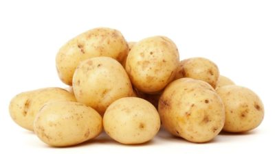 PATATE GIALLE DI MONTAGNA (Appennino modenese) Italia - confezione da 1kg