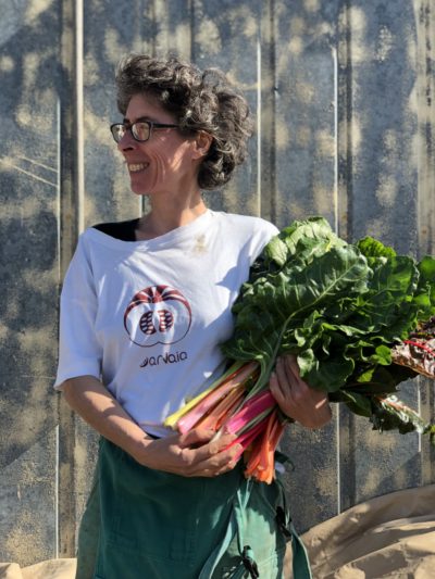 BIETOLA ARCOBALENO (DI ARVAIA) Italia cat.2 - confezione da 1kg circa