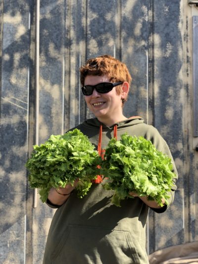 SCAROLA (DI ARVAIA) Italia cat.2 - confezione da 1kg circa