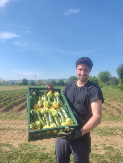 ZUCCHINE SCURE (DI ARVAIA) BIO - confezione da 1kg circa