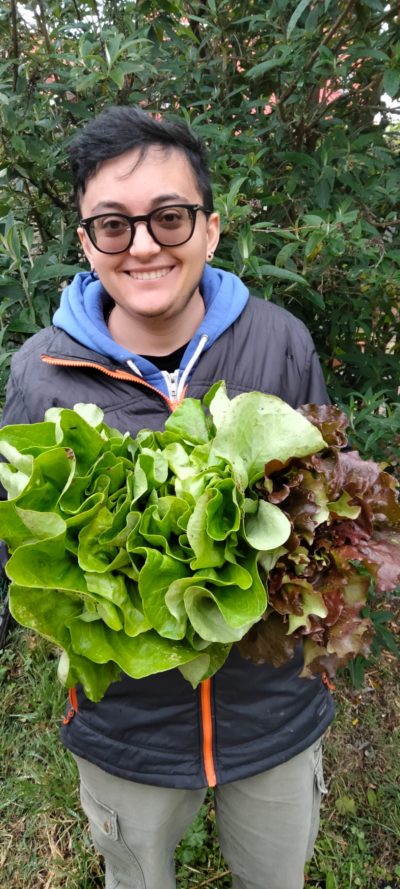 LATTUGA CANASTA (DI AGRIVERDE) Italia cat.2 - confezione da 500gr circa - €6,20/kg