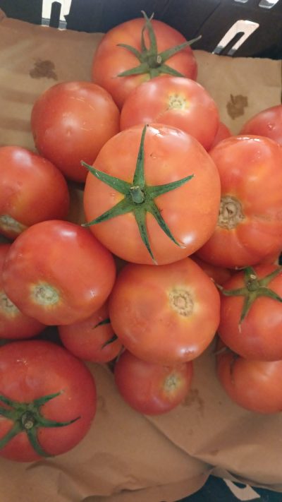 POMODORO DA INSALATA (DI AGRIVERDE) Italia cat.2 - confezione da 1kg circa