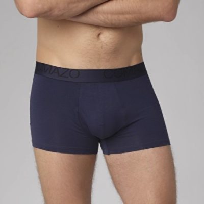 Boxer LINEA FANCY blu