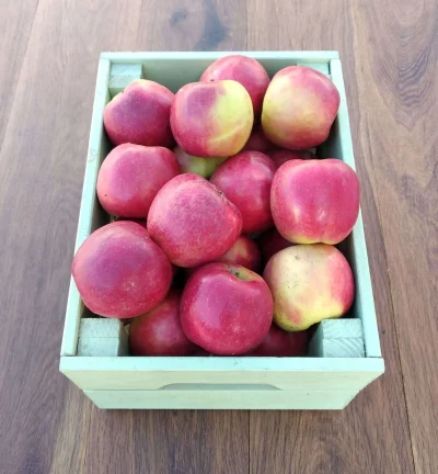 CASSETTINA 4KG circa MELE CRIMSON CRISP Italia (Trentino) cal.75+ cat.2 - €3.30/kg