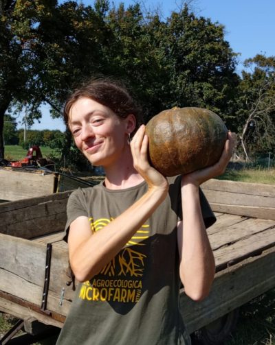 ZUCCA KABOCHA (DI ARVAIA) Italia - confezione da 2kg circa - €3,50/kg