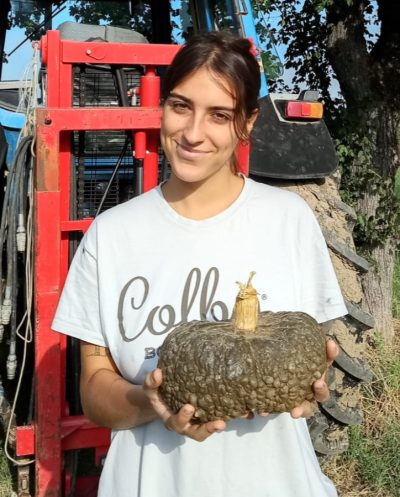 ZUCCA MARINA DI CHIOGGIA (DI ARVAIA) Italia - confezione da 2kg circa - €3,50/kg (Copia)